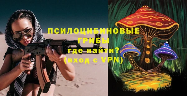 эйфоретик Бронницы